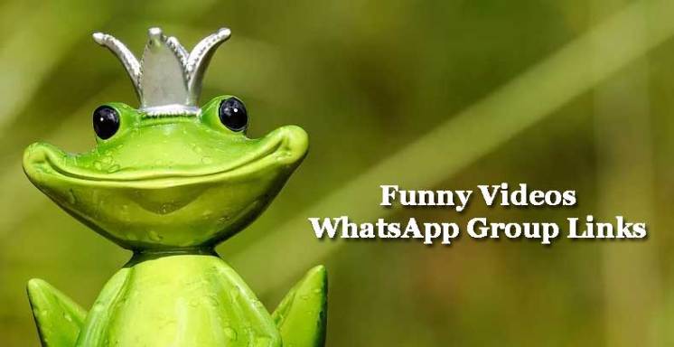 WhatsApp funny video group invitation link