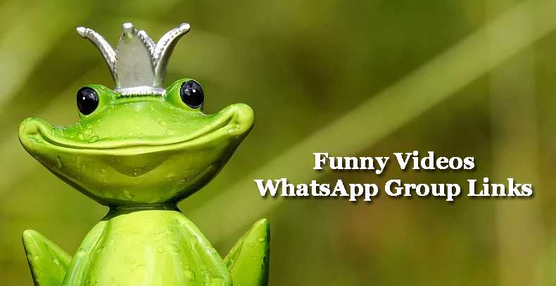 WhatsApp Funny Videos Group