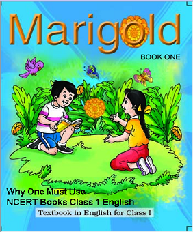Why One Must Use NCERT Books Class 1 English